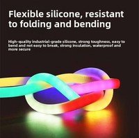 Tube LED Pixel DC12V 24V DMX512 adressable RGB noir, tube LED en silicone néon à 360 degrés, diamètre 22 mm pour l'éclairage de bars et de KTV