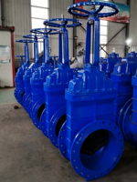 Vanne à opercule à siège élastique de grand diamètre, vanne à opercule à tige montante en fonte ductile à brides pour l'alimentation en eau