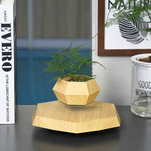 Лидер продаж, магнитный левитирующий горшок для растений, вращающийся плавающий горшок, креативные и уникальные подарки бонсай, украшение для дома - Product Image 4