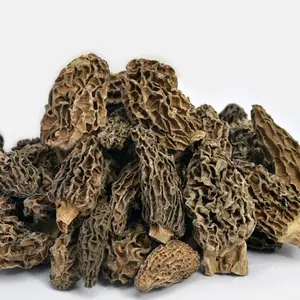 Dried mushroom including dried morel shiitake reishi lions mane turkey tail maitake oyster mushroom medicinal mushroom