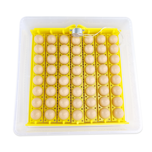 Máquina de incubación de huevos pequeños, controlador de temperatura y humedad, bandeja de plástico, pescado, profesional - Product Image 5
