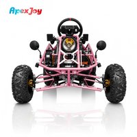 ApexJoy BAJA S4 3000W- Şaft Tahrikli Elektrikli Go Kart Pembe Versiyon 90km/s 120km Menzil Global Satıcı Fiyatı Maksimum Yatırım Getirisi OEM ODM Özel Üretim