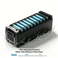 OEM ODM CE RoHS 48V 60V 20Ah 50Ah Sodium Ion Batteries 3000 Cycles CCA Safe Custom Battery Pack for Electric Motorcycle E-bike