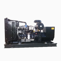 Maßgefertigter Gasgenerator 10KW-1000KW Jeder Brennstoff Spannung Frequenz OEM ODM