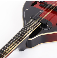 Weifang Rebon 8 String Electric Mandolin
