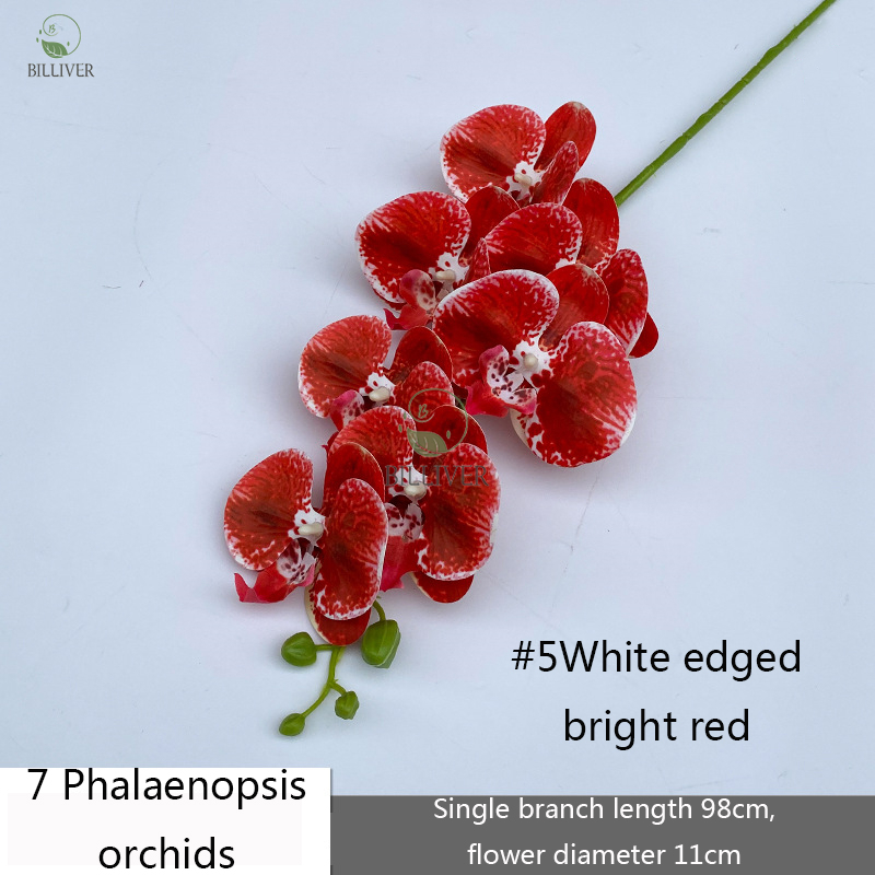 7-Tête #5 Bord blanc avec gros rouge