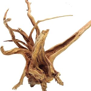 Bois de Cholla Non Toxique en Gros PKY, Racine de <span class=keywords><strong>Cactus</strong></span> pour Décoration de Bassin d'Écrevisses, Aquarium, Vivarium et Aménagement Paysager - Product Image 5