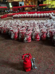 Idrante antincendio in ghisa da 2,5 pollici per interni, DN50 DN65, con doppia uscita e valvola angolare russa, a prezzo di fabbrica - Product Image 6