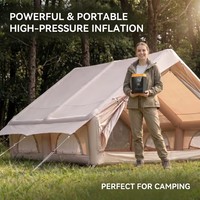 Wholesale High Pressure air Pump Inflation and Deflation Inflation air Pump Basketball air Pump for Air Mattress Car Tire