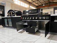 Meuble de cuisine extérieur moderne en acier inoxydable avec portes vitrées, évier, robinet, charnières, tiroirs de rangement pour appartement et barbecue