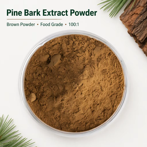 Extrait <span class=keywords><strong>de</strong></span> Corteau <span class=keywords><strong>de</strong></span> <span class=keywords><strong>Pin</strong></span> en Poudre en Gros Fourni par l'Usine - <span class=keywords><strong>Prix</strong></span> <span class=keywords><strong>de</strong></span> l'Extrait <span class=keywords><strong>de</strong></span> Corteau <span class=keywords><strong>de</strong></span> <span class=keywords><strong>Pin</strong></span> - Product Image 1