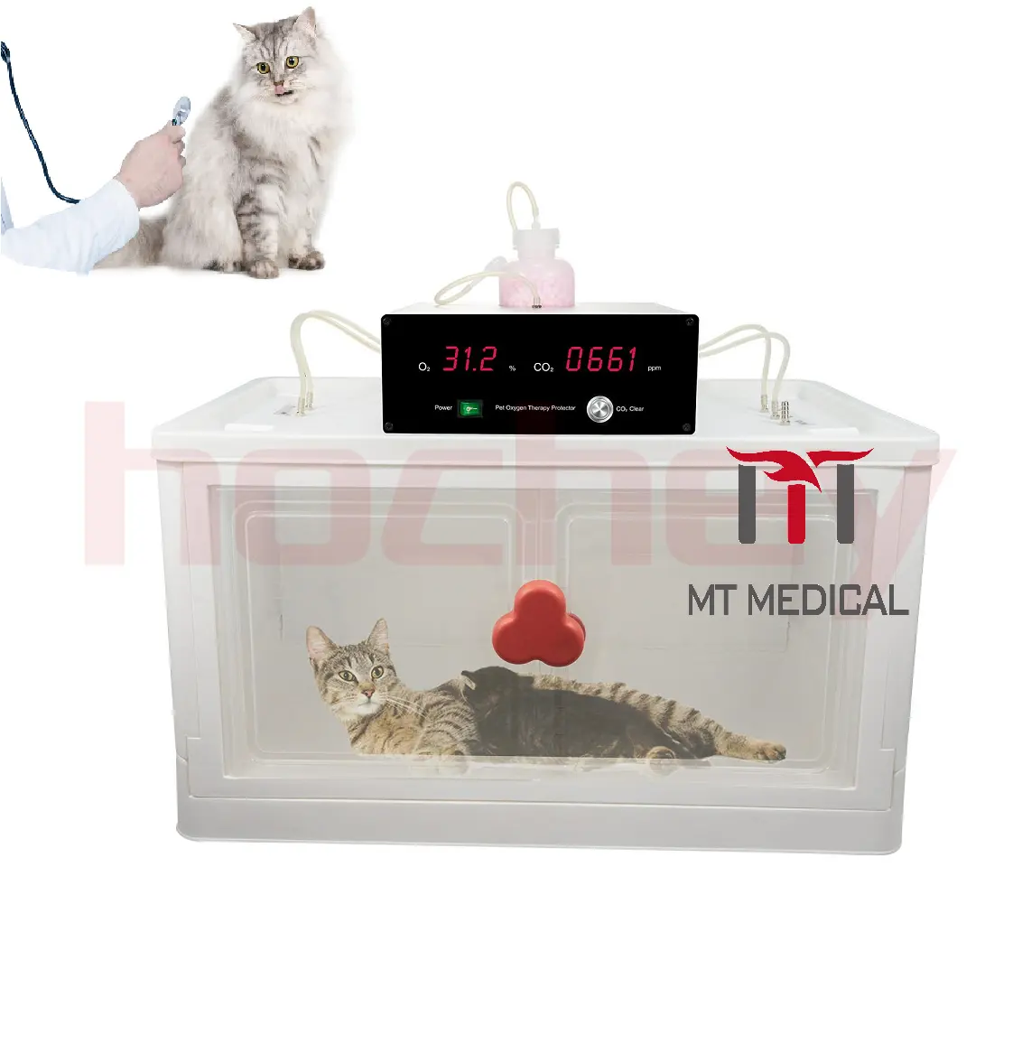 MT MEDICAL Dog Puppy Veterinary Pet Inkubator Ausrüstung ICU Guided Intelligent Inkubator Sauerstoff belüftung Inkubator