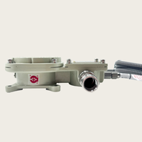 High Quality Explosion Proof IP66 DC24V Temperature Gauge Bearing Temperature Meter 0-200C 4-20mA Remote Reading Temperature