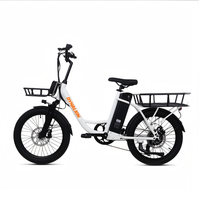 Vélo cargo électrique non pliable à deux roues, 20 pouces, 36V, 250W, double moteur sans balais, pour livraison de nourriture