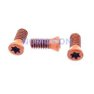 Tornillo estrella T6 M2.2x6 D3.0 para portaherramientas de torneado - Product Image 4