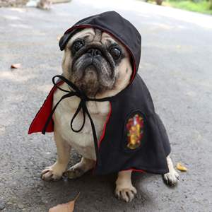 Disfraces <span class=keywords><strong>de</strong></span> Halloween Pet CAT Dog Magic Academy Shawl Cape para Halloween Christmas Funny Costume - Product Image 2