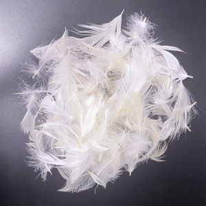 Edredón de plumas de ganso natural, juego de almohadas, colchón de calidad para dormir, adornos de plumas de ganso, ropa de cama, plumas para dormir - Product Image 2