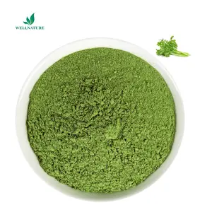 Celery Leaf Extract Powder Dried Celery Leaves Powder Celery Juice Powder