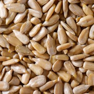 Semillas <span class=keywords><strong>de</strong></span> <span class=keywords><strong>Girasol</strong></span> Grandes y Saludables, Nueces al Mejor Precio en Bolsa <span class=keywords><strong>de</strong></span> 25 kg - Product Image 2