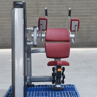 Machine abdominale professionnelle de haute qualité, directement de l'usine, en acier, pour la musculation et l'entraînement en salle de sport.