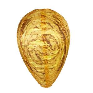 Linterna de Papel Impermeable con Diseño de Panal de Abejas para Ahuyentar Avispas y Abejas - Product Image 2