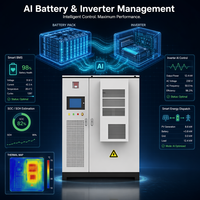 Sistema di Energia Solare Rinnovabile Inedge Power OEM per Microgrid, 50kW 100kWh/215kWh BESS Container, Accumulo Energetico Industriale e Commerciale