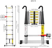 Échelle télescopique en aluminium portable pour toit, grenier, caravane, EN131 antidérapante, 2,6 m, 9 marches, crochets détachables