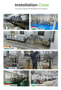 Линия по производству замороженных фруктов, машина для упаковки замороженных продуктов, линия по производству замороженных ягод и замороженного горошка - Product Image 6