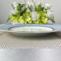 Assiette de table ronde plate CELADON en porcelaine NEW BONE bleue, réutilisable, de luxe et élégante