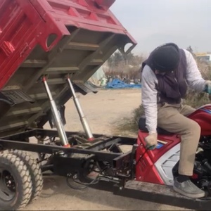 Nouveau style de tricycle cargo à trois roues motorisé de 250 cm3 avec moteur à essence, capacité de charge de 650 kg - Product Image 4