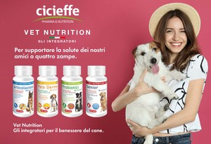 Supplément multivitaminé pour chien âgé Durée de conservation 30 mois Fabriqué à la main en Italie Soins de santé et suppléments de qualité pour animaux de compagnie - Product Image 4