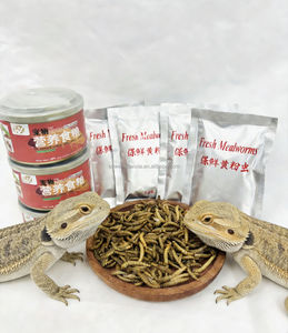 L'imballaggio con azoto preserva efficacemente i vermi della farina e sono ricchi di nutrienti e facili da conservare. - Product Image 4