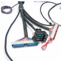 CNCH GM 6.0L Engine Wiring Harness Drive par câble-CNCH Custom After Market ECU Harnais Motec Fueltech Link X