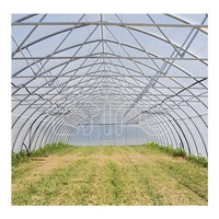 Serre agricole SINO AGRI multi-travées à film PE monocouche pour tomates et légumes, structure en acier, taille personnalisable, ensemble complet