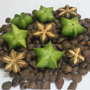 Máquina Descascaradora de Nueces de Sacha Inchi, Máquina Descascaradora de Plukenetia Volubilis, Máquina para Romper la Cáscara de Semillas de Sacha Inchi - Product Image 5