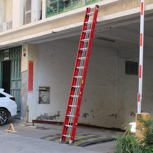 Justificación del <span class=keywords><strong>trabajo</strong></span> <span class=keywords><strong>de</strong></span> campo eléctrico Se han extraído palabras clave Entendiendo los atributos del título dados. Términos Elegidos Escalera - Product Image 4