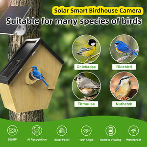 Incubateur d'oiseau en bois Transparent maison moniteur à énergie solaire horloge nidification des oiseaux éclosion/maison d'oiseau intelligente en temps réel avec caméra - Product Image 5