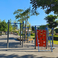 Barre en acier galvanisé de singe d'équipement d'entraînement de rue extérieure de gymnase de parc de jardin d'arrière-cour pour l'exercice de bras/dos/noyau