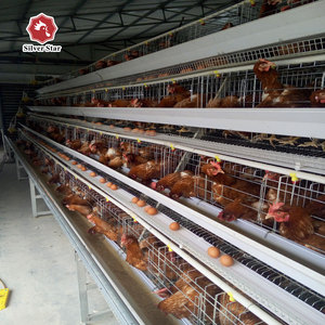 Gallinas ponedoras capa <span class=keywords><strong>de</strong></span> jaula <span class=keywords><strong>de</strong></span> pollo <span class=keywords><strong>de</strong></span> <span class=keywords><strong>granja</strong></span> - Product Image 2