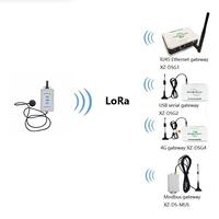 Detektor Kebocoran Air Nirkabel LoRa XZ-DSF1-WLA dengan Probe Baja Tahan Karat IP67 untuk Ruang Distribusi Daya