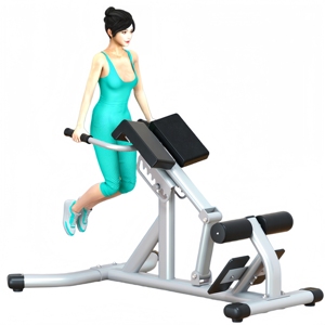 CZFIT Équipement de fitness de haute qualité pour l'entraînement de force et la musculation : Chaise romaine d'extension dorsale pour salle de sport - Product Image 6