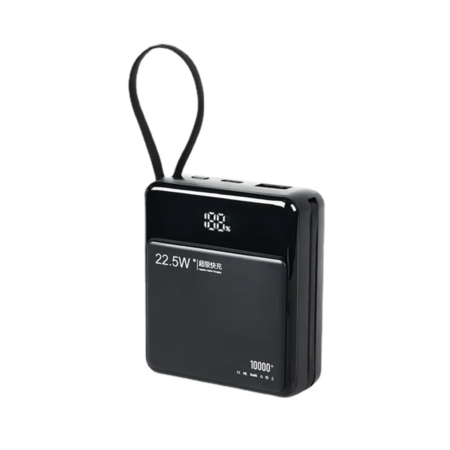 Regalo promozionale con ricarica a doppio filo Powerbank 10000 mah 22.5W caricatore rapido Mini Power Bank Mobile portatile