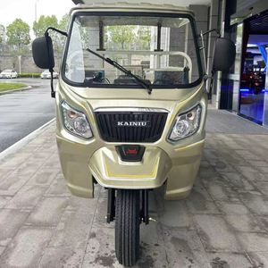 2025 phổ biến nhất nhà máy bán hàng trực tiếp kainiu zhanlong 5 với mái tất cả các địa hình 250cc hàng hóa Giao hàng Xăng ba bánh người lớn - Product Image 1