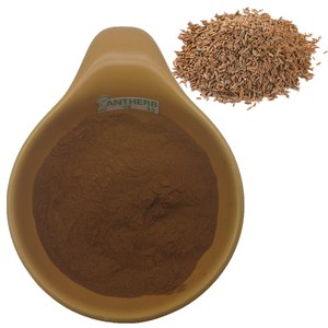 Extrait de <span class=keywords><strong>Carvi</strong></span> 100% Naturel de Haute Qualité <span class=keywords><strong>en</strong></span> <span class=keywords><strong>Poudre</strong></span>, Extrait Végétal Pur <span class=keywords><strong>en</strong></span> Vrac, Extrait de Graines de <span class=keywords><strong>Carvi</strong></span> <span class=keywords><strong>en</strong></span> <span class=keywords><strong>Poudre</strong></span> 10:1, Prix 1kg - Product Image 3