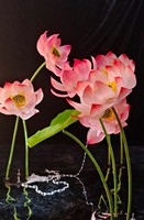 Décoration de magasin d'été intérieur de fleur de lotus élégante et simple de grande taille géante faite à la main avec du papier
