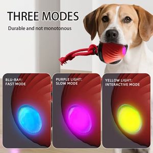 Balle interactive pour chien avec son, jouet de lance et de ramassage, balle à mâcher en corde pour l'entraînement en intérieur - Product Image 4