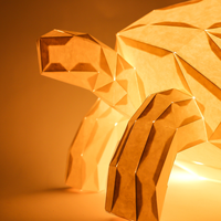 Meistverkaufte Kreative Tiermotiv-Design Handgefertigte Maßgeschneiderte Muster Papierkunst Origami Schildkröten-Lampenschirm Papierlaterne