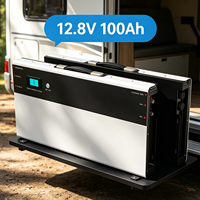 Baterai LiFePO4 12V 100Ah Profil Rendah Hemat Ruang untuk Pemasangan di Dinding, Berbagai Pilihan Kapasitas untuk Penyimpanan Energi RV Camper