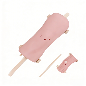 Modello Anatomico per Artroscopia del Ginocchio per Formazione in Scienze Mediche - Product Image 5