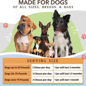 ワンストップOEMサービスペットヘルスケアサプリメント犬のスキンコート柔らかいチュウエイズの脳の発達と免疫システムの維持 - Product Image 6